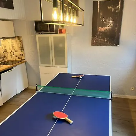 De La Fee Marion Et Alice *