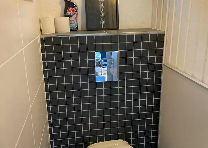 De La Fee Marion Et Alice